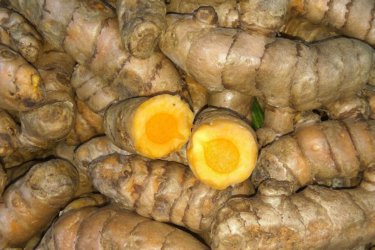 Rhizomes de curcuma frais coupés, chair orange vif